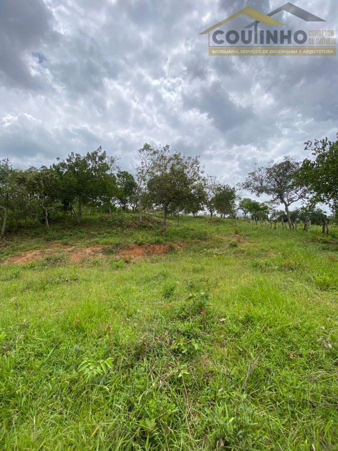 WhatsApp Image 2026-01-29 at 20.11.48.jpeg